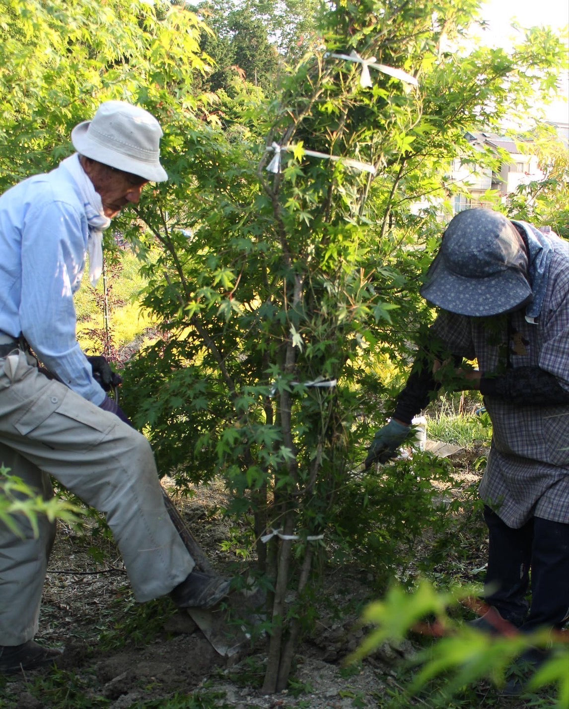 IMG_8259_2_1146x.jpg?v=1723792898