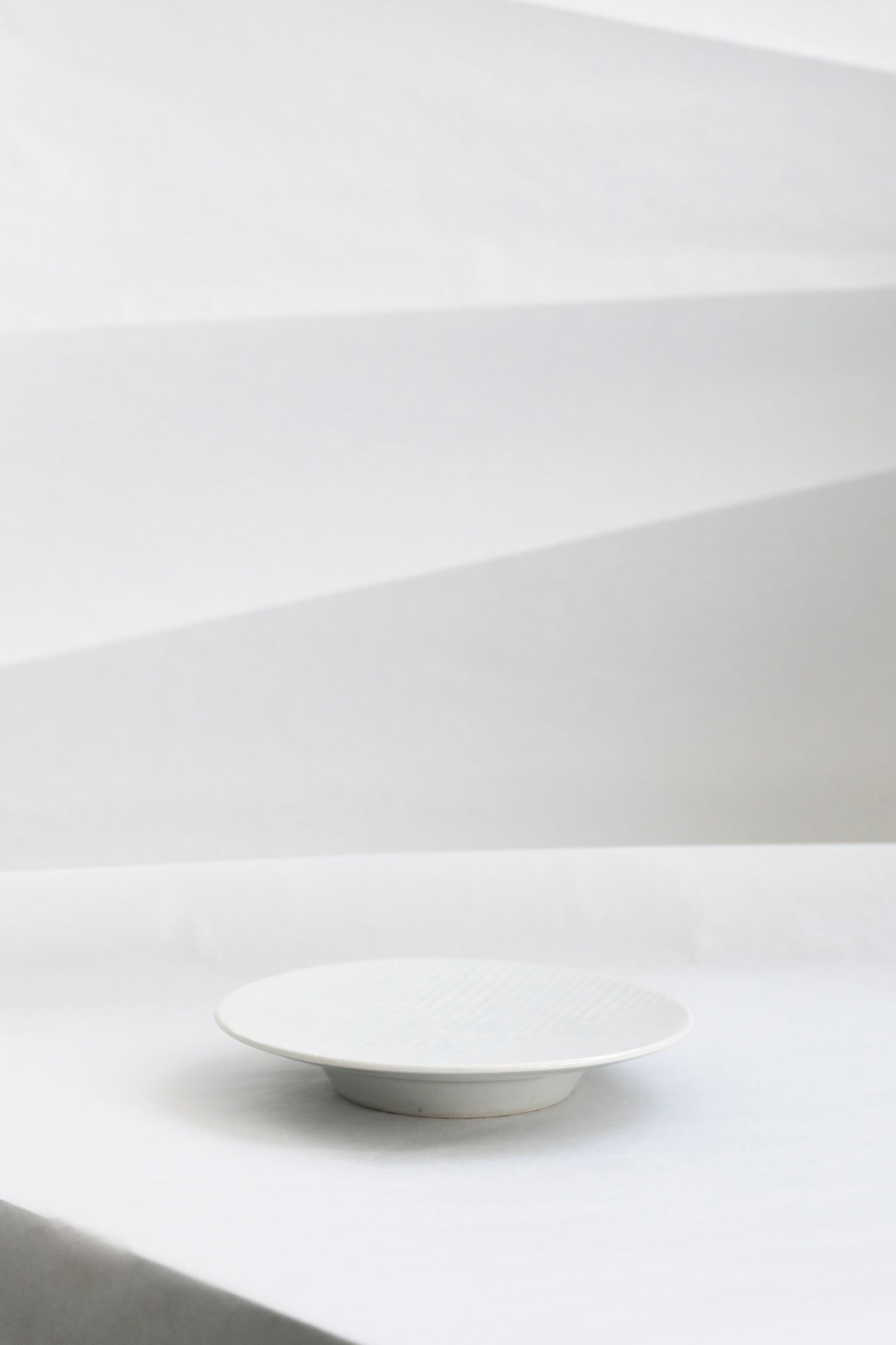 新品未使用 阿南維也 白磁長方皿 2点セット 2025年最新】阿南維也の人気アイテム - メルカリ